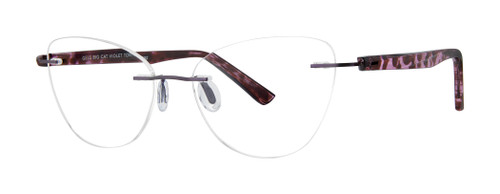 Violet Tortoise Main View Violet Tortoise Main View