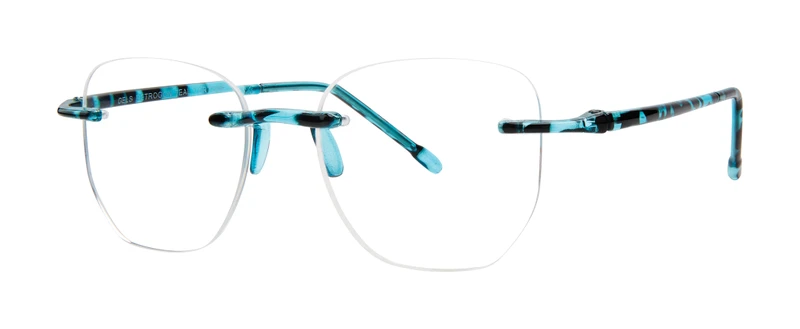 Teal Tortoise Main View