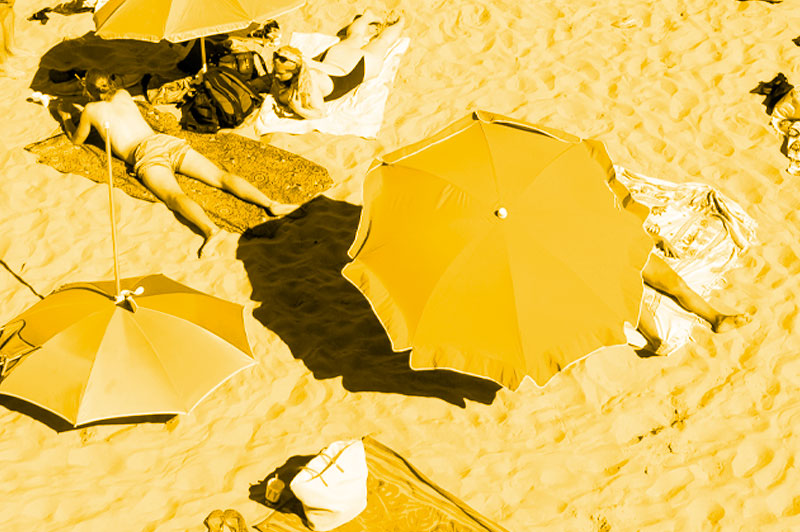 SCOJO New York's Guide to Summer Fun