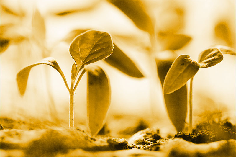 Double the Points and Eight Green Reads for Earth Day