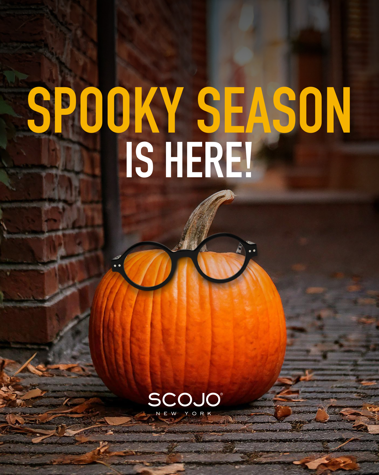 SCOJO Halloween Costumes