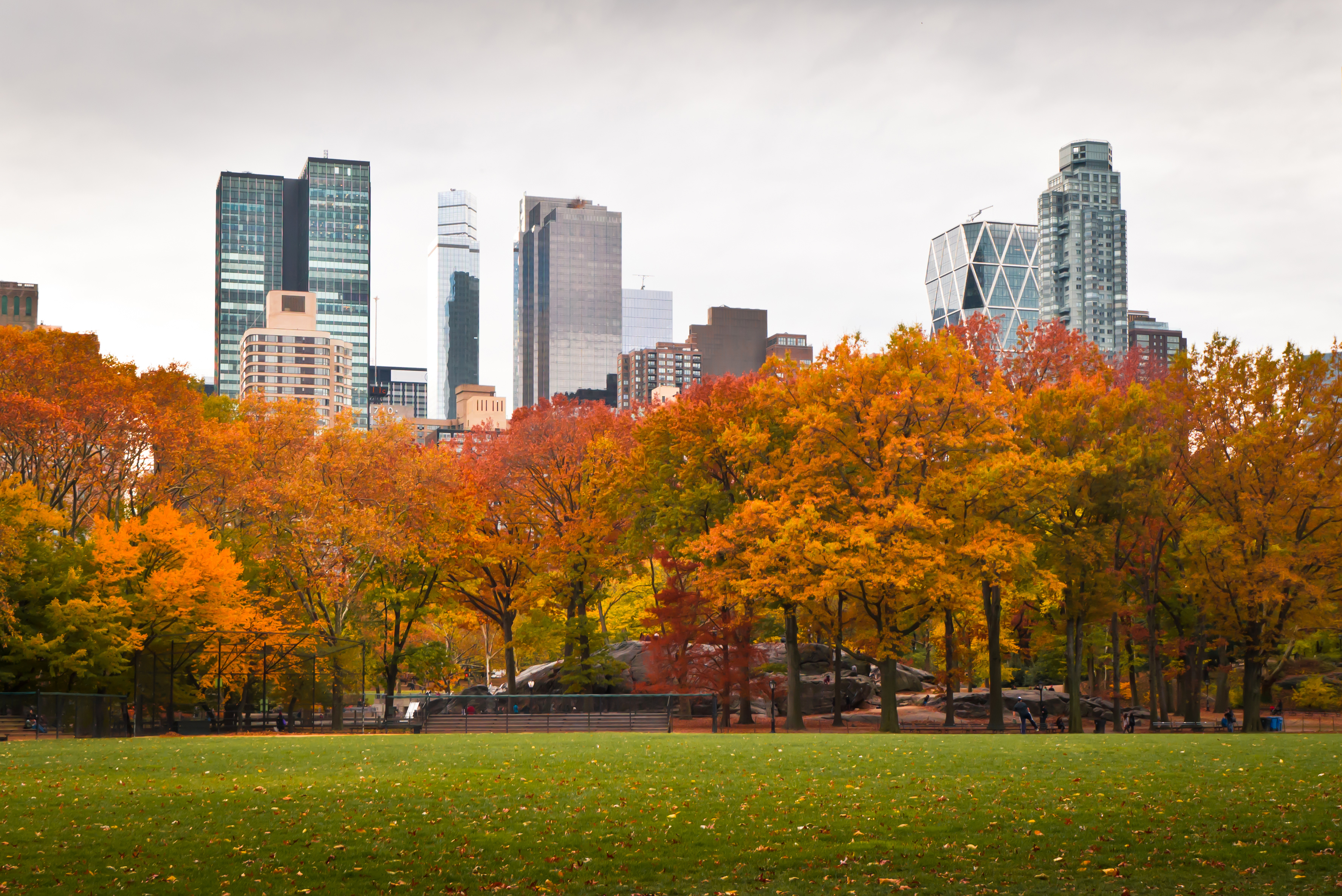 Fun Fall Activities