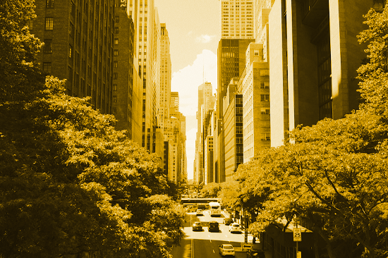 New York: The City of Dreams