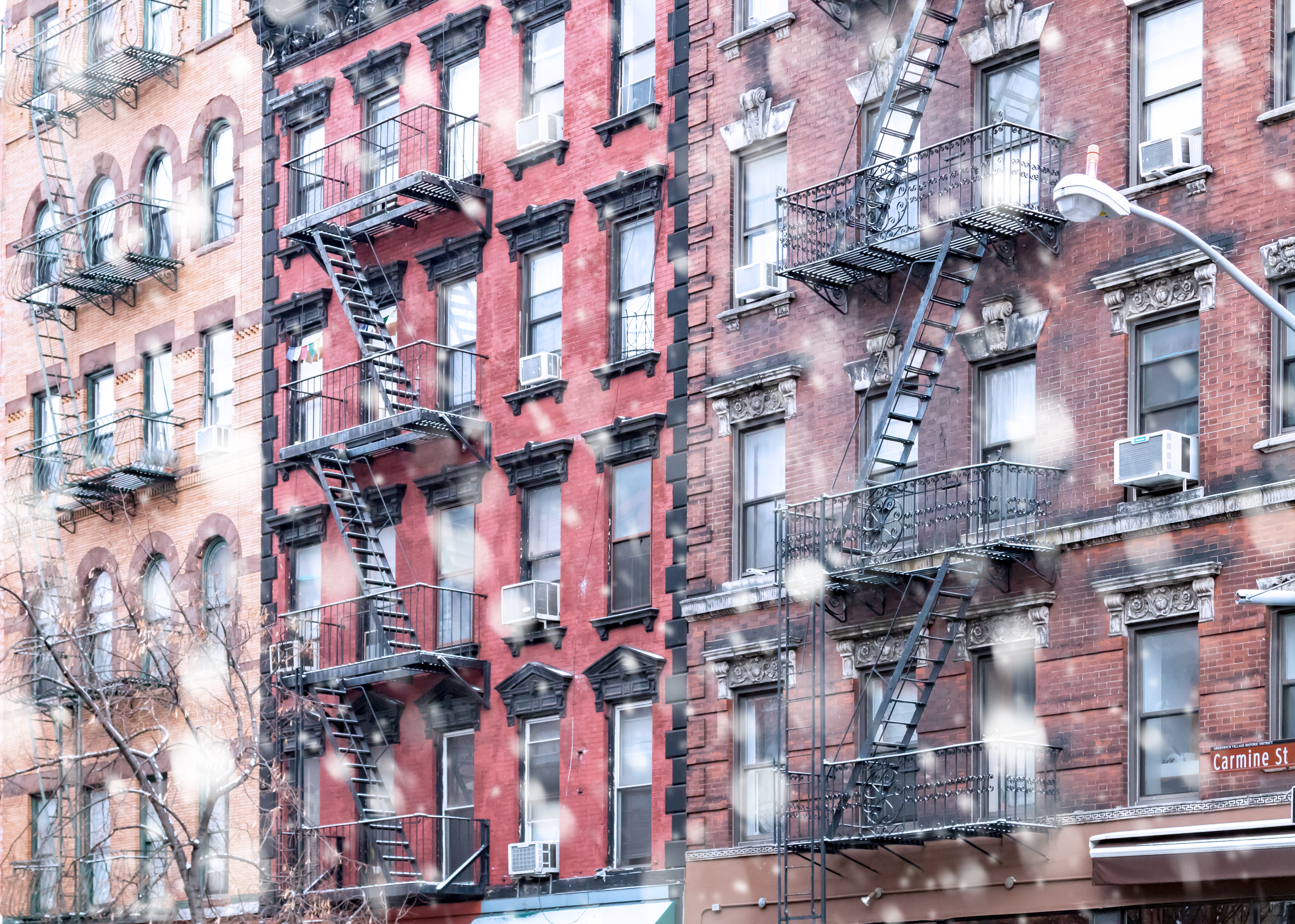 SCOJO Style-cast Spring 2026