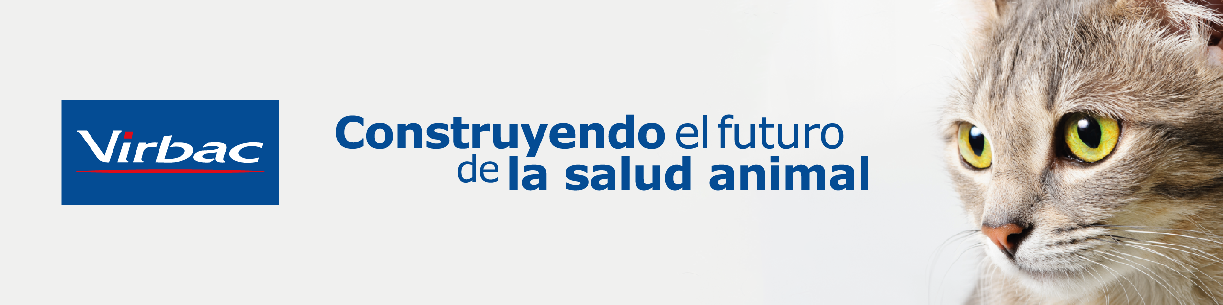Virbac B2B Colombia Production