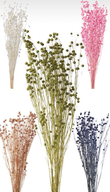 Dried Flax Rin Flower