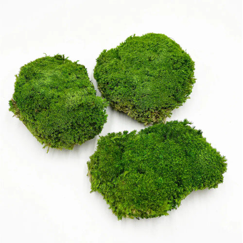 Ball Moss