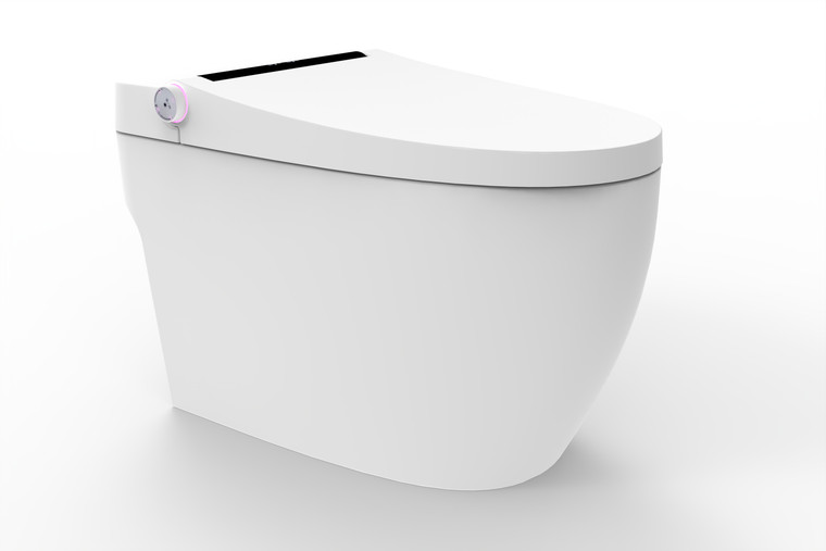 Cleveland Smart Toilet and Bidet with LED Display