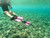 DUO II - Travel Ready Fins PINK
