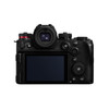 Panasonic Lumix S1II E Body