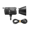 Godox Litemon LE300Bi LED
