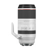 Canon RF 100-500mm F4.5-7.1 L IS Lens (Demo/Open Box)
