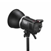 Godox MS300V-F Studio LED Flash x 2 Kit