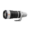 Sony FE 100-400mm F4.5 GM OSS