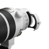 Sony FE 100-400mm F4.5 GM OSS