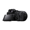Sony A7R VI Body