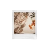 Fujifilm Instax Square Soft Haze Instant Film (10 Exposures)