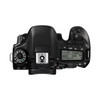 Canon EOS 80D Body