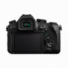 Panasonic DMC-FZ2500 Black