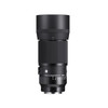 Sigma 105mm F2.8 Art DG DN Macro E-mount