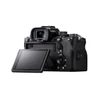 Sony A1 Body