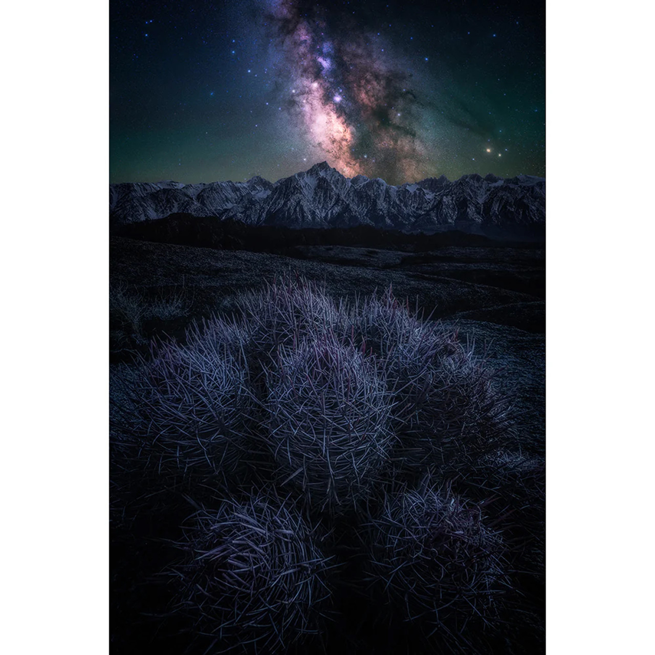Hoya 67mm Starscape Light Pollution Filter (Intensifier)
