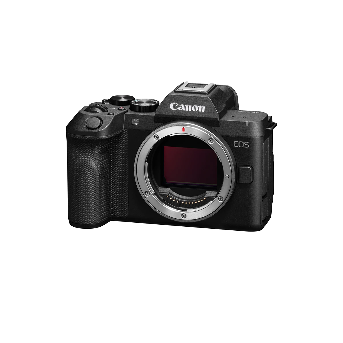 Canon EOS R8 Mark II Body