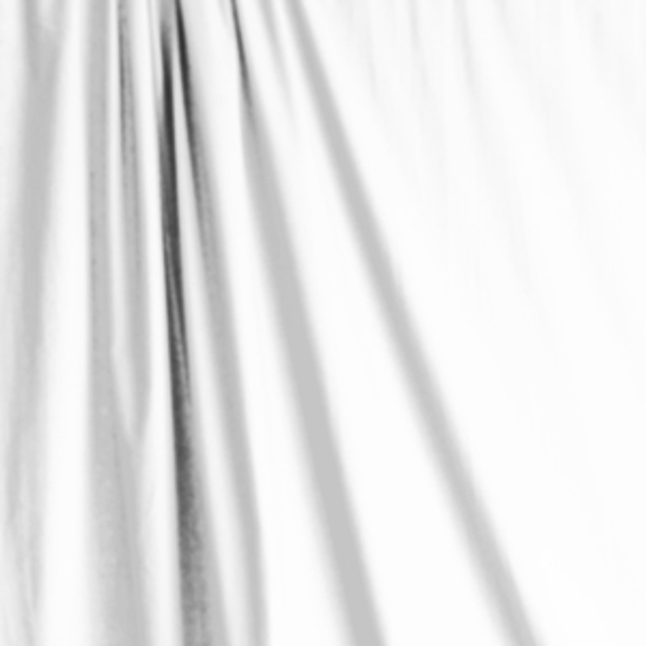 Savage Background Muslin 10' x 12' White