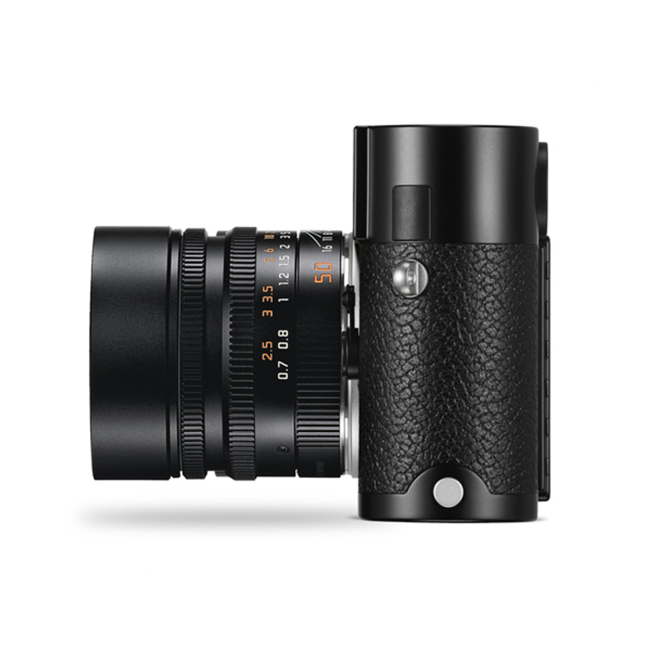 Bottom GUARD Leica /ライカＭ/M-P(Typ240）専用 新品)M.I.star (マイスター) Bottom GUARD MTYPE201 Elephant
