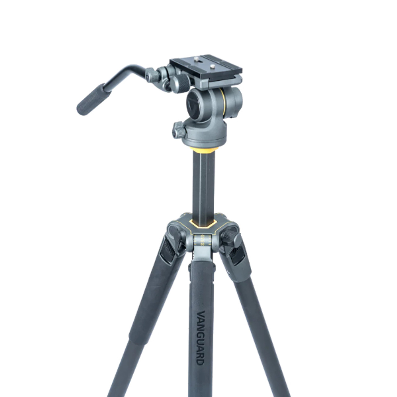 Vanguard Alta Pro 2 263AV with Video Head