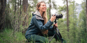 Finding Inspiration among Landscapes