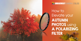 How to Elevate your Autumn Photos using a Polarizing Filter How to Elevate your Autumn Photos using a Polarizing Filter