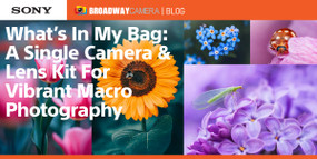 What’s In My Bag: A Single Camera & Lens Kit For Vibrant Macro Photography What’s In My Bag: A Single Camera & Lens Kit For Vibrant Macro Photography