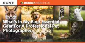 What’s In My Bag: Essential Gear For A Professional Pet Photographer