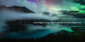 From Night to Day: The Versatility of Sony Alpha 9 III