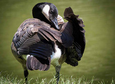 7 Simple Tips to Take Better Photos