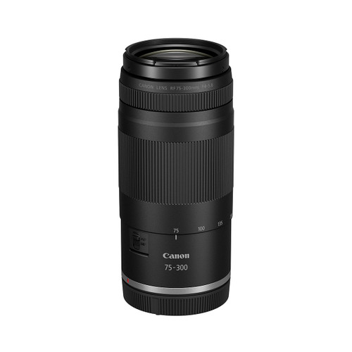 ⭐️美品⭐️ Canon EF 75-300mm F4-5.6 II USM 望遠 Canon EF 75-300mm F4-5.6 III USM