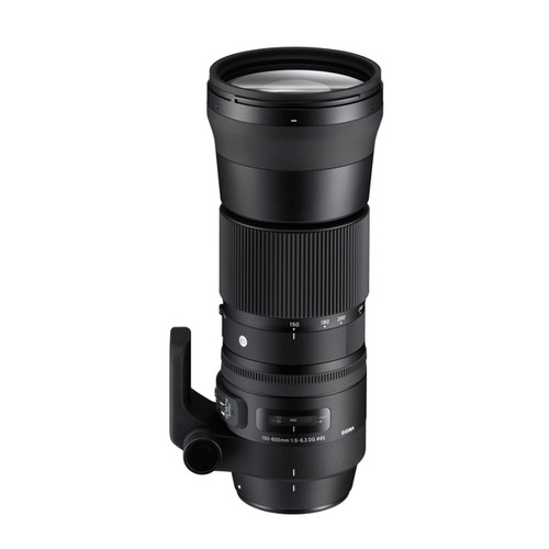 Sigma 150-600mm F5-6.3 Contemporary & TC-1401 1.4X Teleconverter