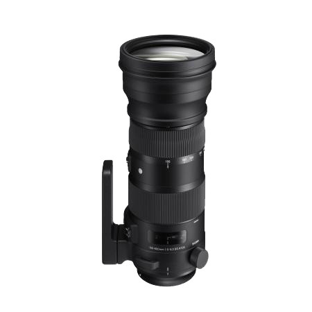 Sigma 150-600mm F5-6.3 Sport & TC-1401 1.4X Teleconverter Bundle Nikon
