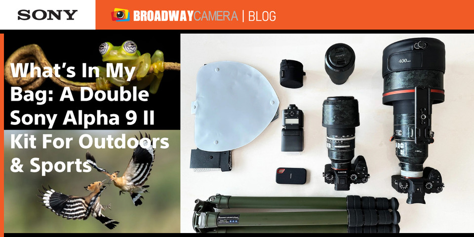 What’s In My Bag: A Two-Camera, Three-Lens Kit For Stunning Macro & Wildlife Photography
