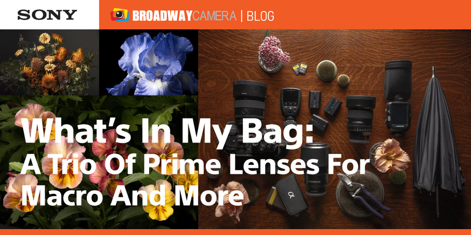  What’s In My Bag: A Trio Of Prime Lenses For Macro And More