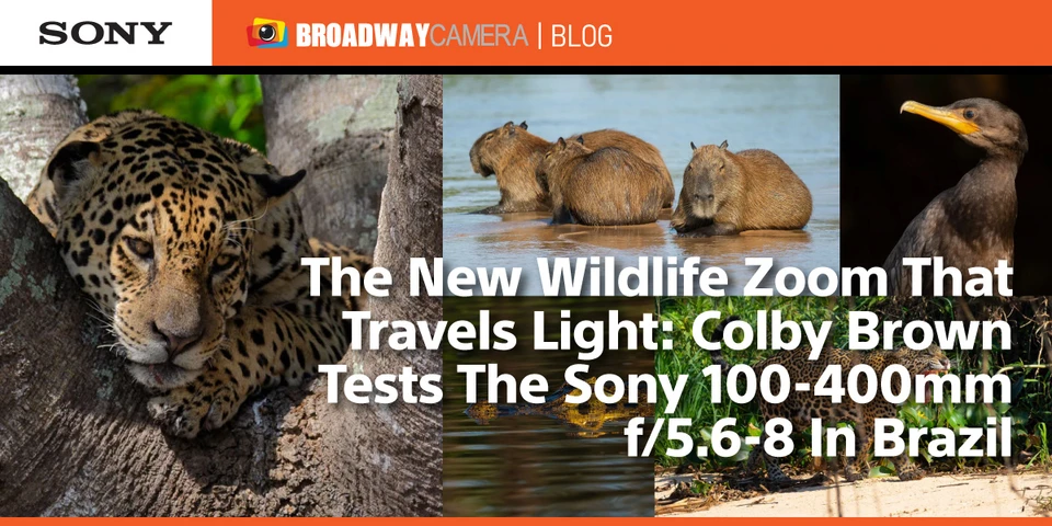 The New Wildlife Zoom That Travels Light: Colby Brown Tests The Sony 100-400mm f/5.6-8 In Brazil