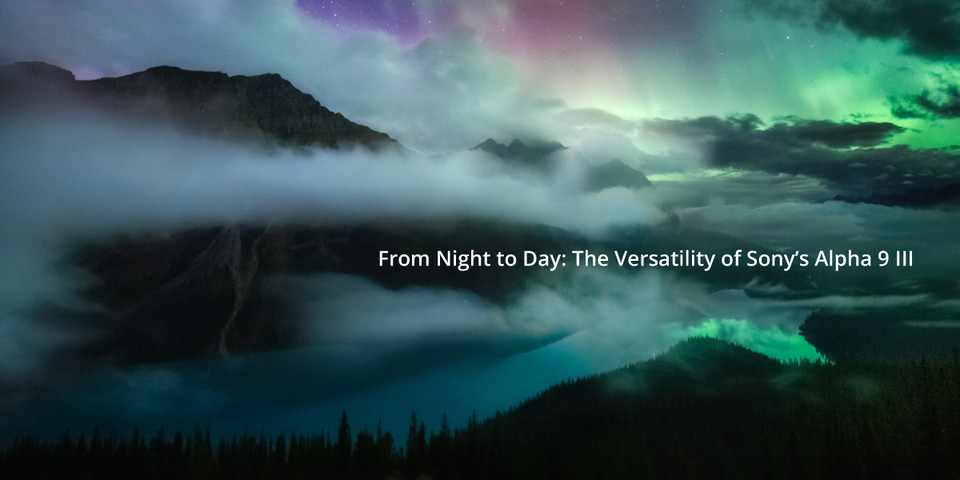 From Night to Day: The Versatility of Sony Alpha 9 III