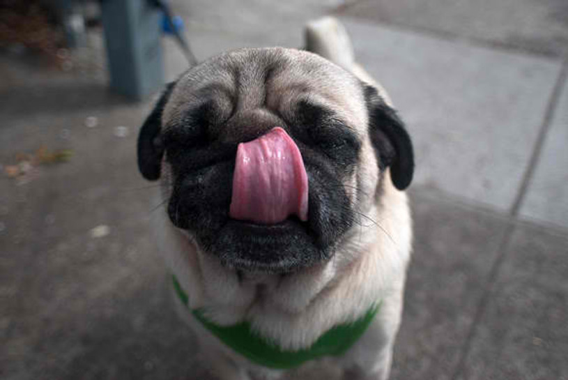 Take it Wide Take it Wide