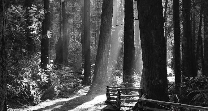 Photo Tips: Photographing Lines