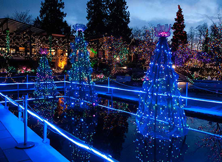 How To Photograph Holiday Lights How To Photograph Holiday Lights