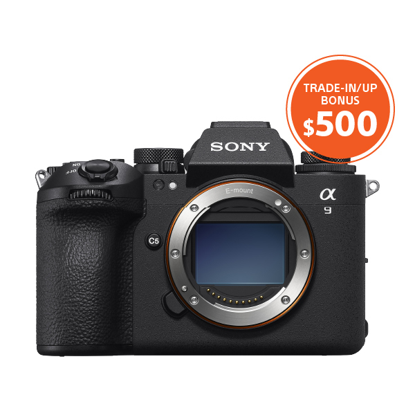 20250120-sony-titu-jan24-march31-web-pic-11940-500.jpg