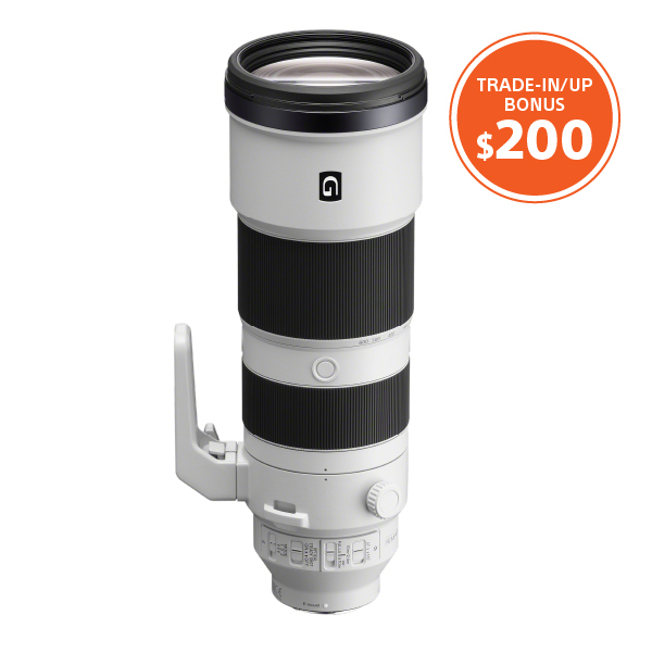 20250120-sony-titu-jan24-march31-web-pic-9737-200.jpg