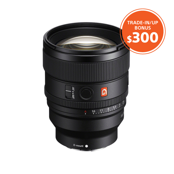 20250120-sony-titu-jan24-march31-web-pic-9867-100.jpg