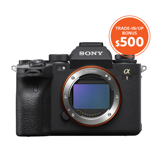 20250120-sony-titu-jan24-march31-web-pic-10492-200.jpg